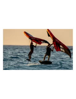 Wing AFS Wild -FCS || ION Soldes wing afs wild 2